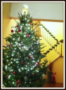 This authentic Douglas Fir fills our foyer with the spirit of the season.
