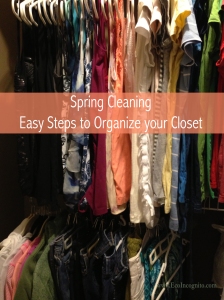 Spring cleaning, Easy steps to organize your closet from Eco Incognito